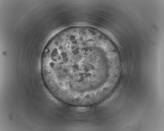 X0000113640839200910162035