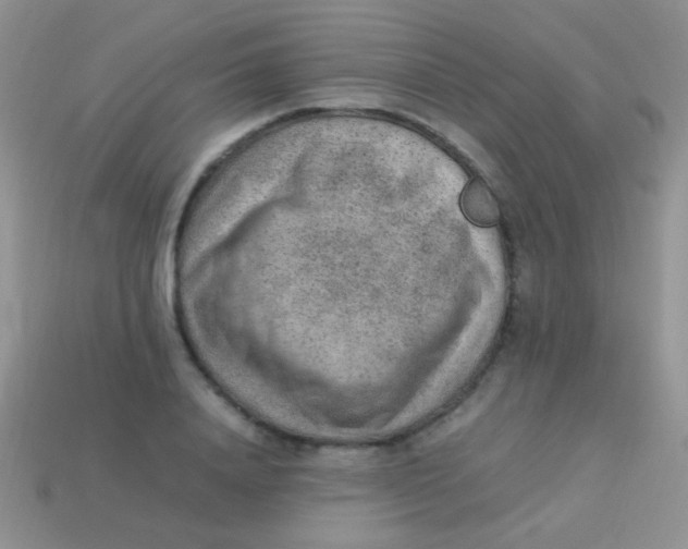 X0000113640840200910162035