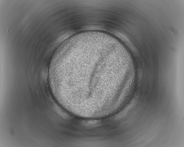 X0000113640841200910162035