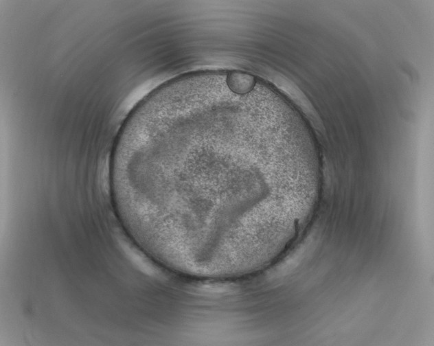 X0000113640842200910162035