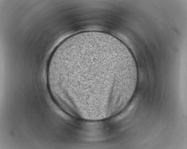 X0000113640843200910162036