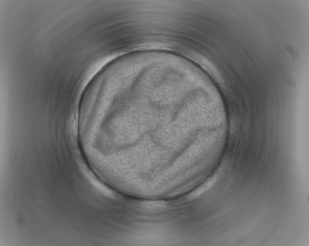 X0000113640844200910162036