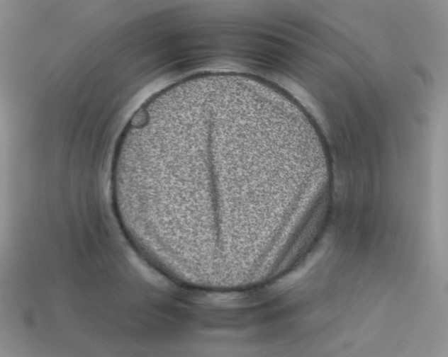 X0000113640845200910162036