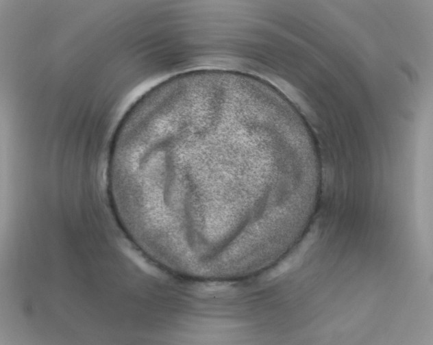 X0000113640846200910162036