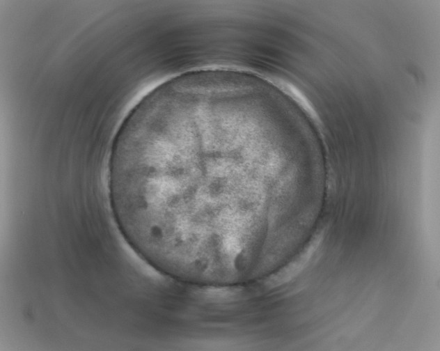 X0000113640847200910162036