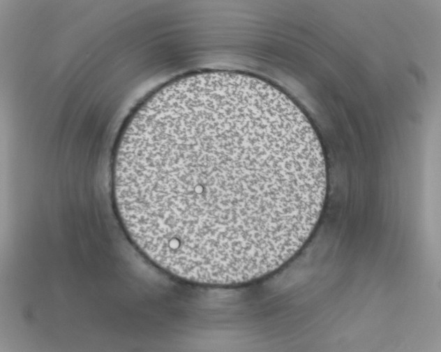 X0000113640848200910162036