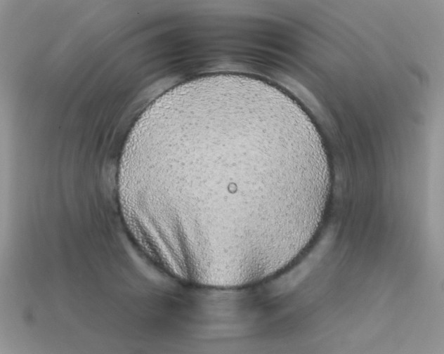 X0000113640849200910162036