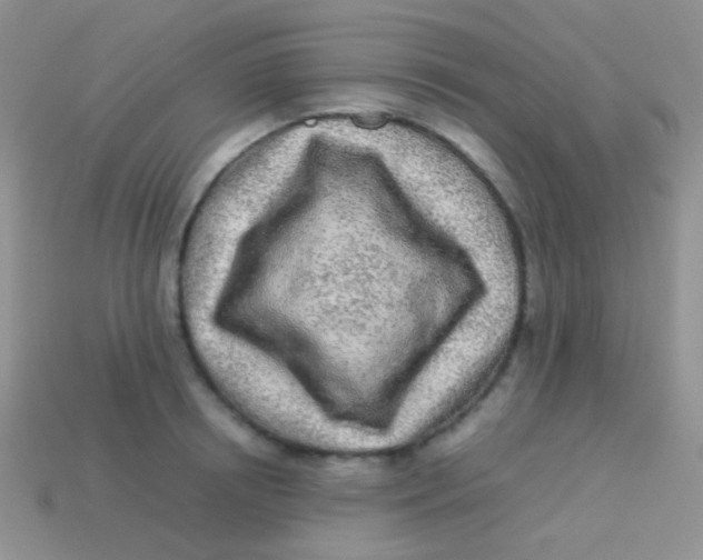 X0000113640850200910162036