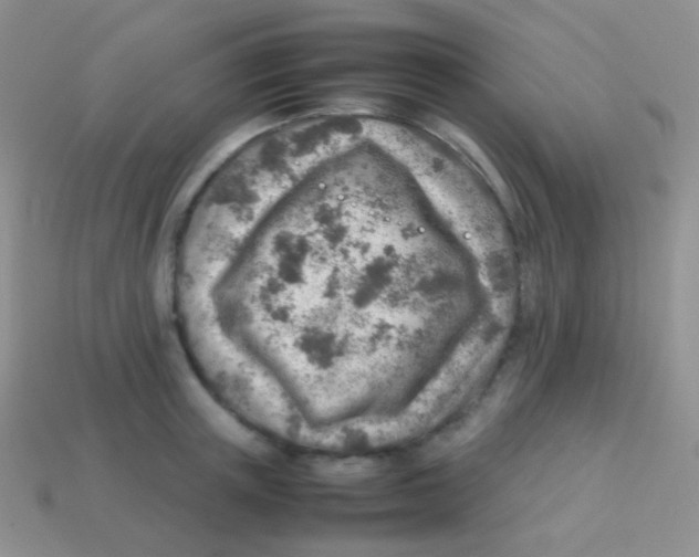 X0000113640851200910162036