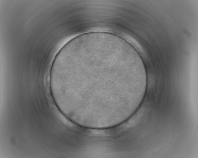 X0000113640852200910162036