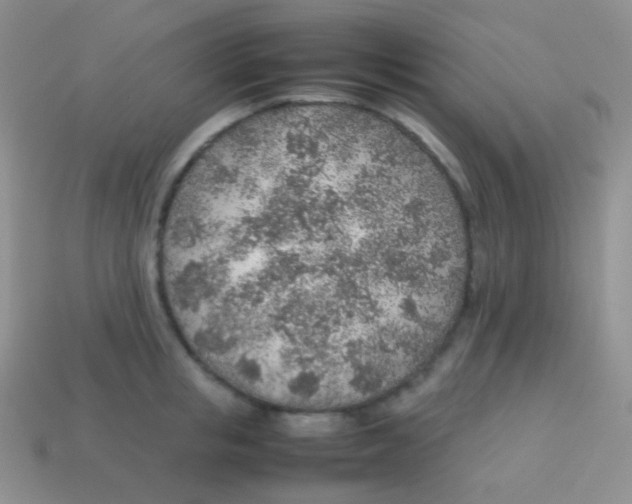 X0000113640853200910162036