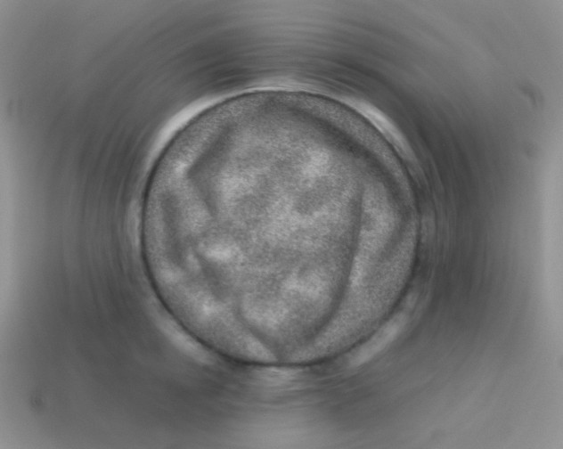 X0000113640854200910162036