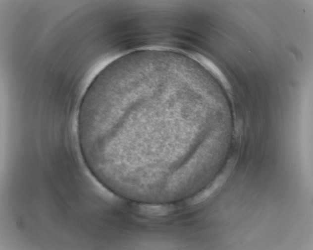 X0000113640855200910162036