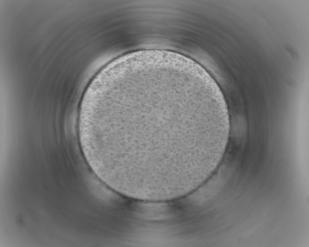 X0000113640856200910162036