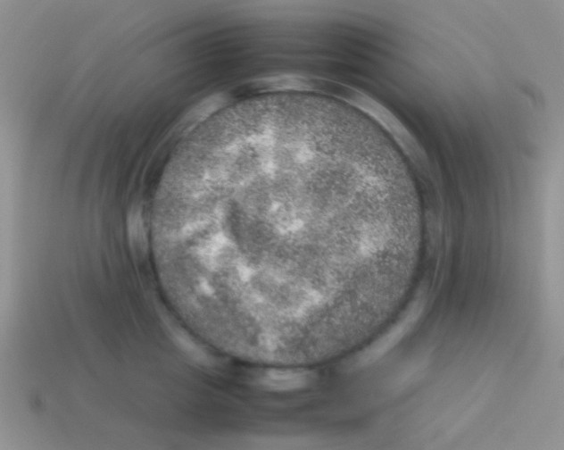 X0000113640857200910162036