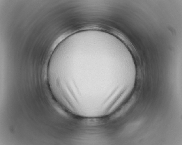 X0000113640858200910162036