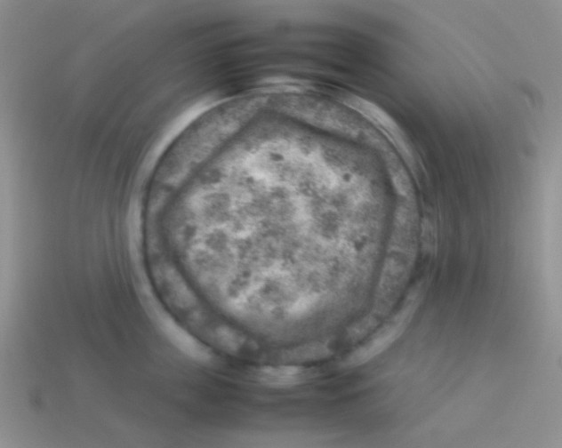 X0000113640859200910162036