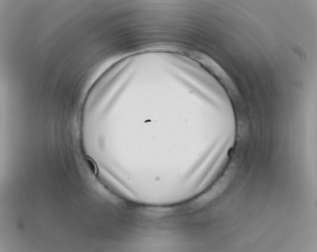 X0000113640860200910162036