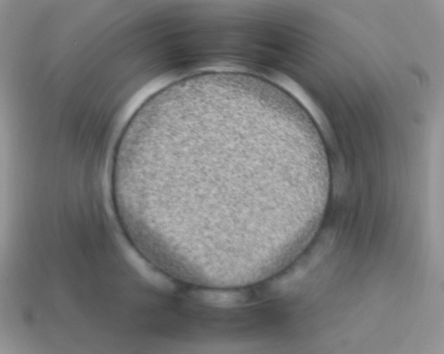 X0000113640861200910162036