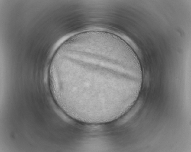 X0000113640862200910162036