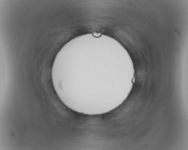 X0000113640865200910162035