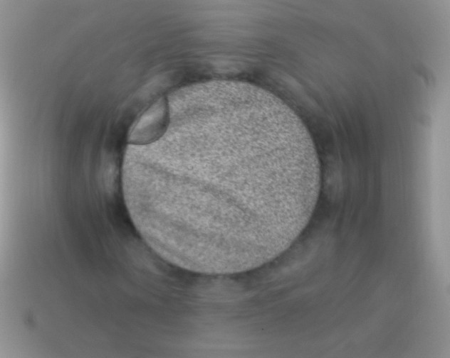 X0000113640866200910162035