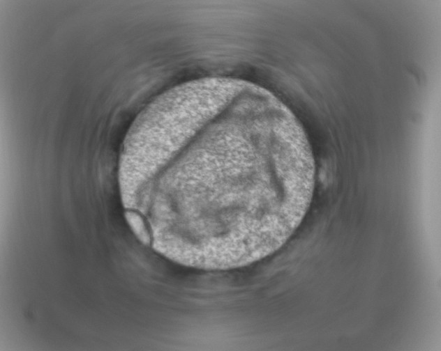 X0000113640867200910162035