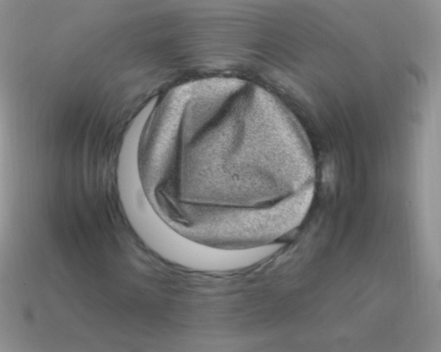 X0000113640868200910162035