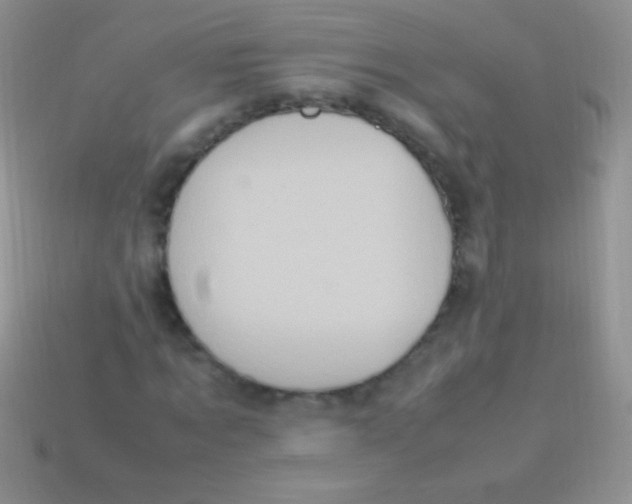 X0000113640869200910162035