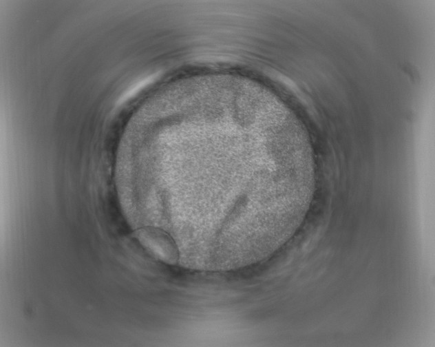 X0000113640871200910162035