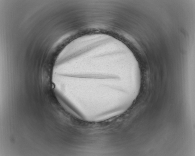 X0000113640872200910162035