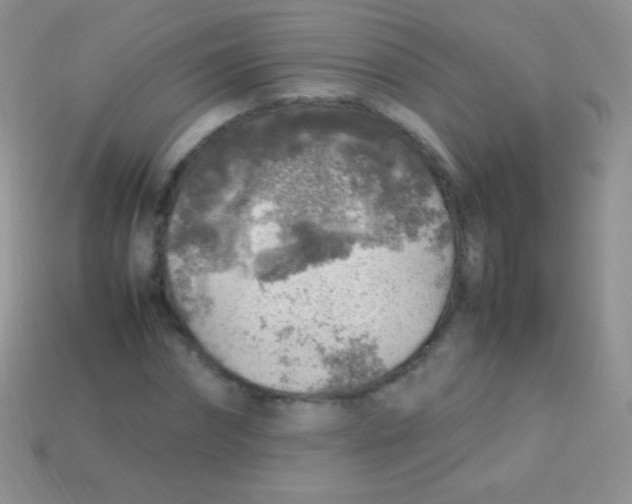 X0000113640874200910162035