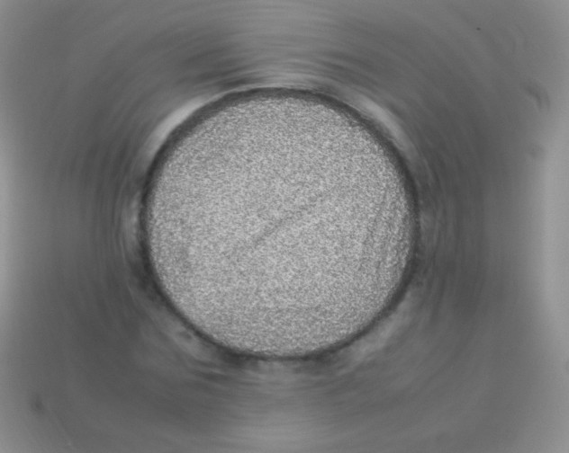 X0000113640875200910162035