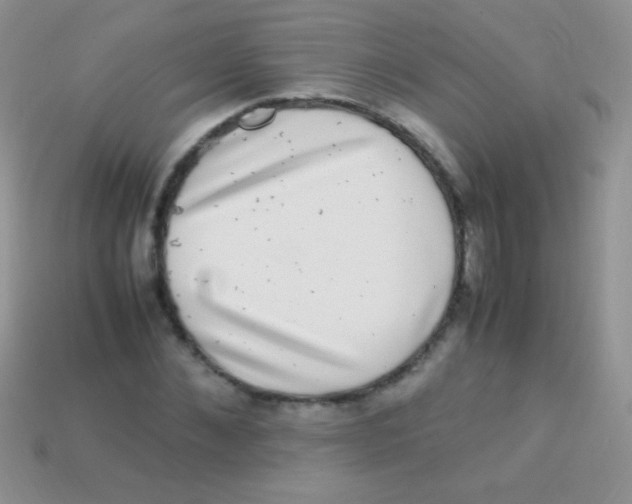 X0000113640876200910162035