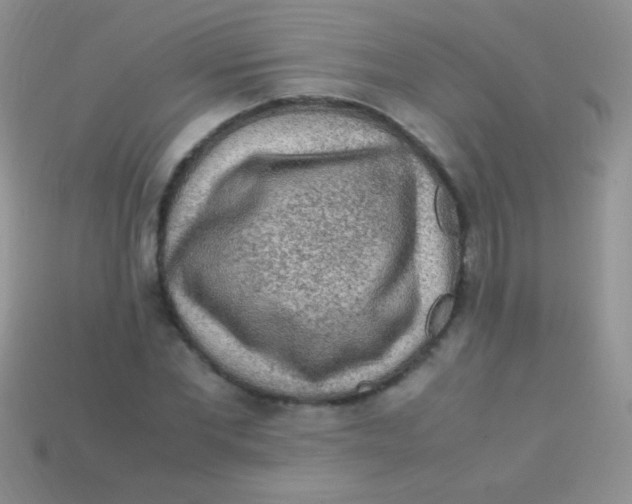 X0000113640877200910162035