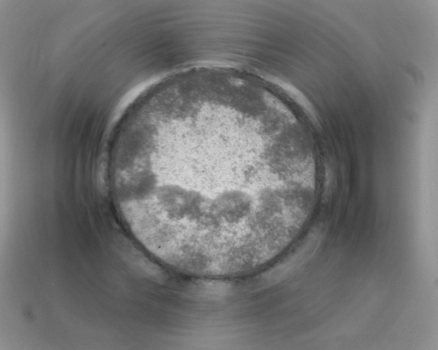 X0000113640878200910162035