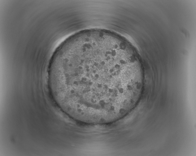 X0000113640879200910162035