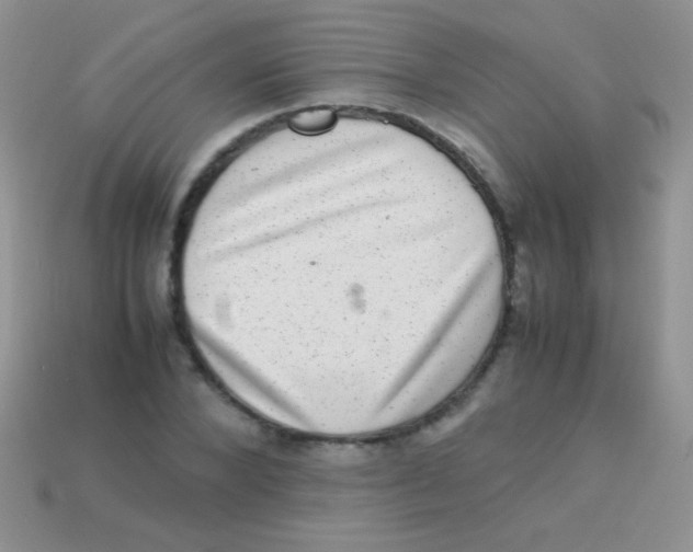 X0000113640880200910162035