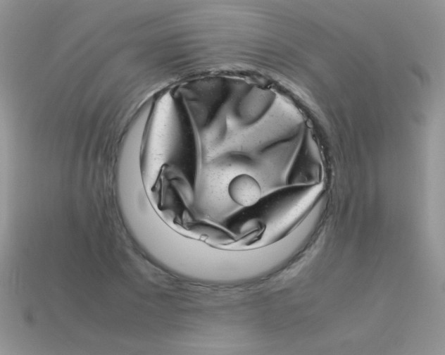 X0000113640881200910162035