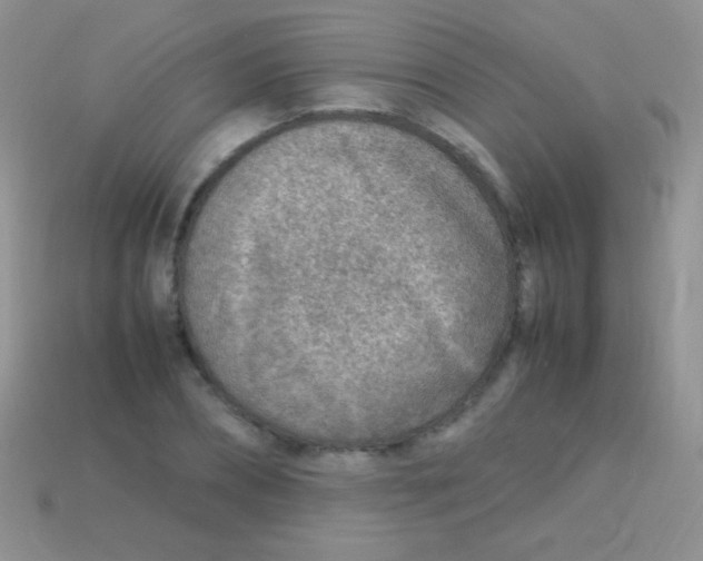 X0000113640882200910162035