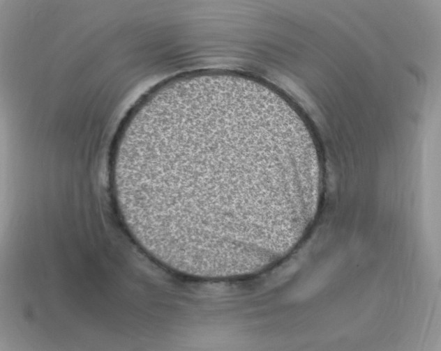 X0000113640883200910162035