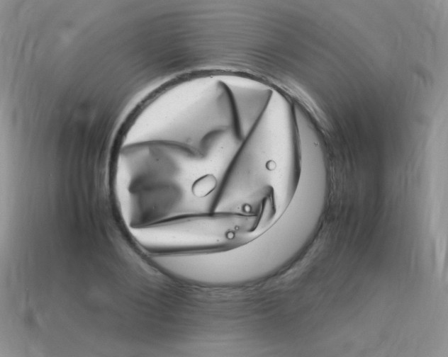 X0000113640884200910162035