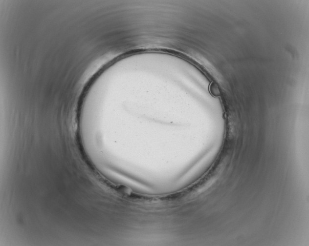 X0000113640885200910162035