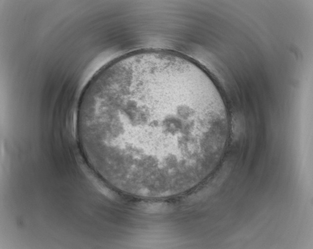 X0000113640886200910162035