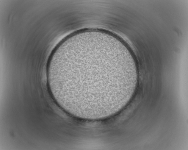 X0000113640887200910162035