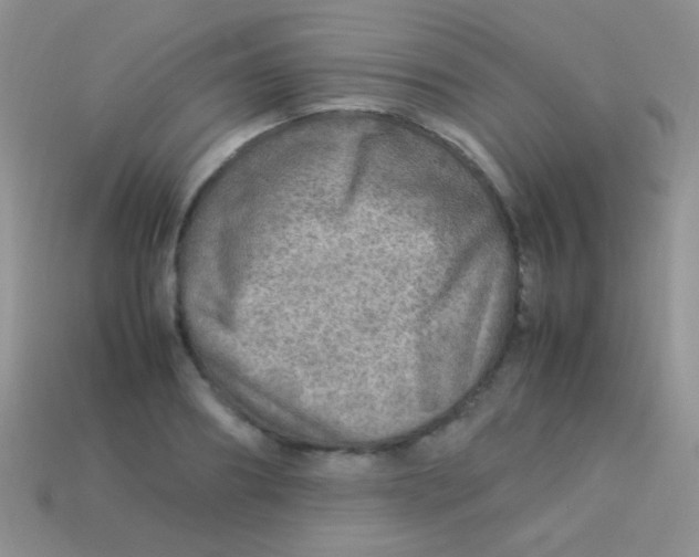 X0000113640890200910162035