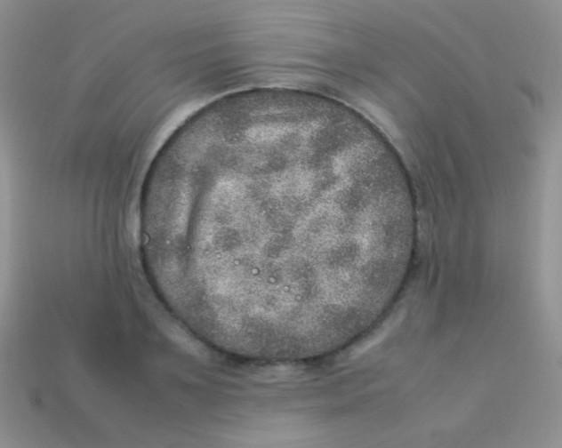 X0000113640891200910162035