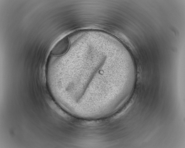 X0000113640892200910162035