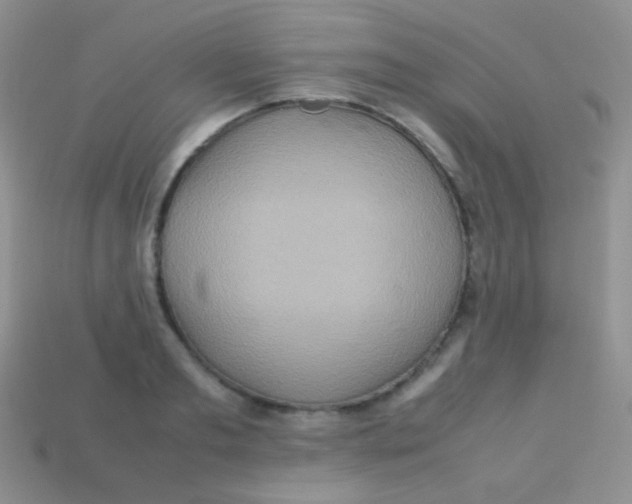 X0000113640893200910162035