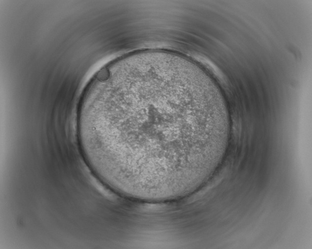 X0000113640894200910162035